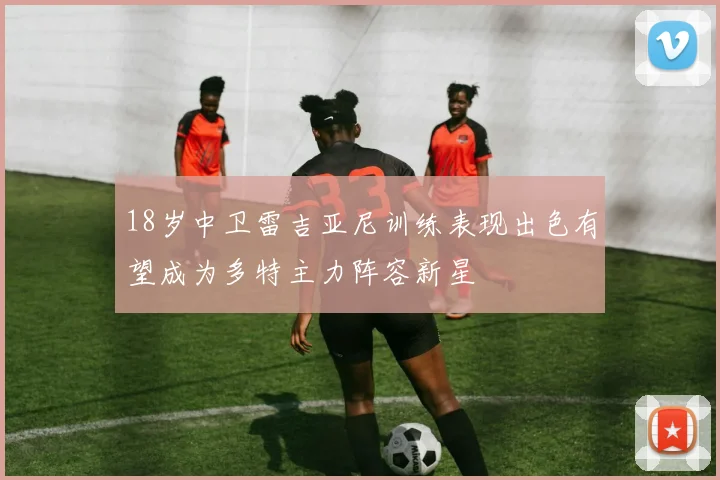 18岁中卫雷吉亚尼训练表现出色有望成为多特主力阵容新星