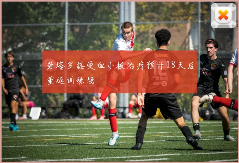 劳塔罗接受血小板治疗预计18天后重返训练场